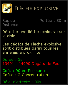 Compétences Chasseur Flèche explosive.png