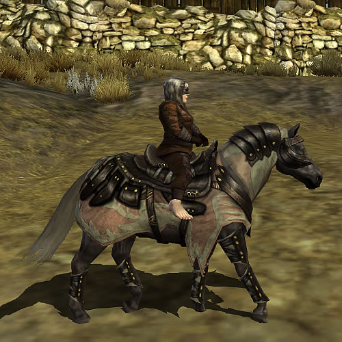 Fichier:Poney de Dol Baran.jpg